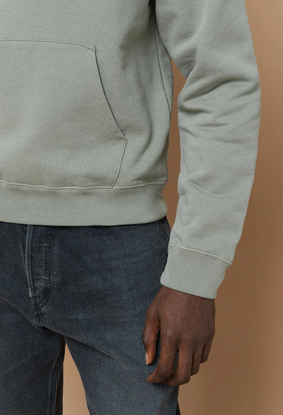 Beach Hoodie 2 / Sage