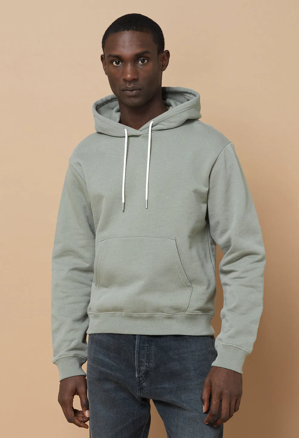 Beach Hoodie 2 / Sage