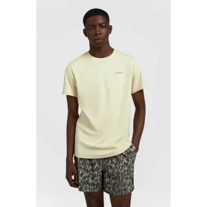 O'NEILL LOGO TEE FROZEN DEW
