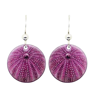 Sea Urchin